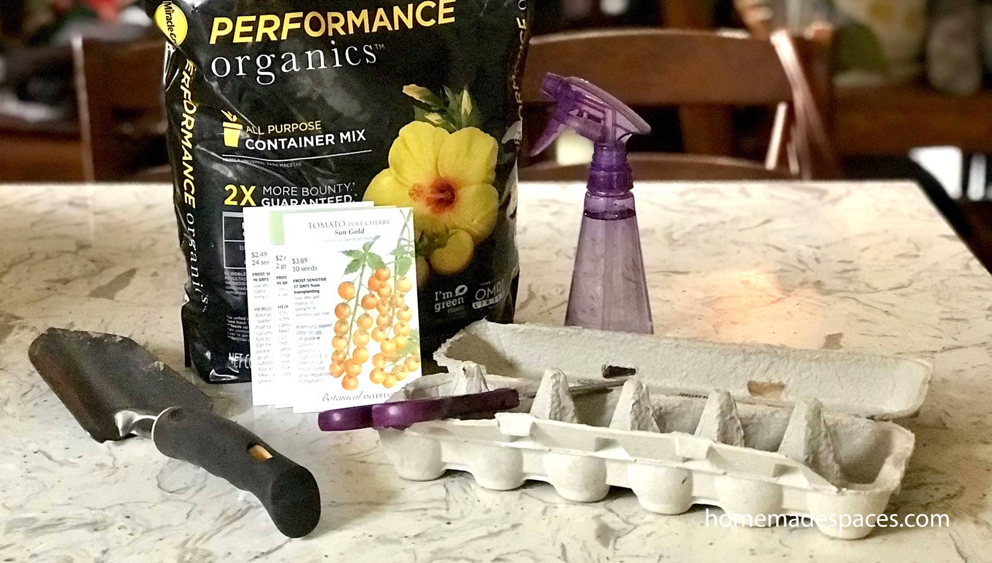 How to Start Seeds in Egg Cartons