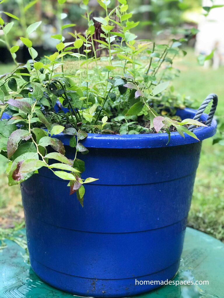 rope handle planter container